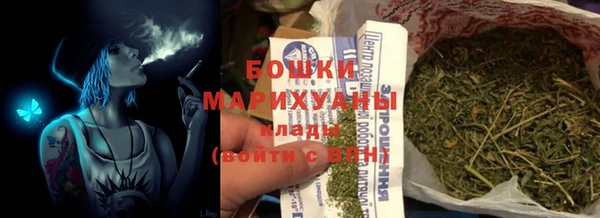 мдпв Осинники