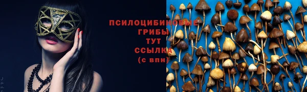 мдпв Осинники