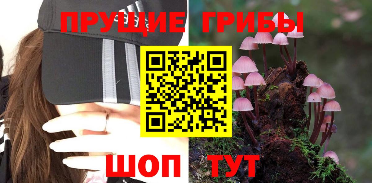 магазин    Галлюциногенные грибы Psilocybe  Вход с VPN  Тольятти 