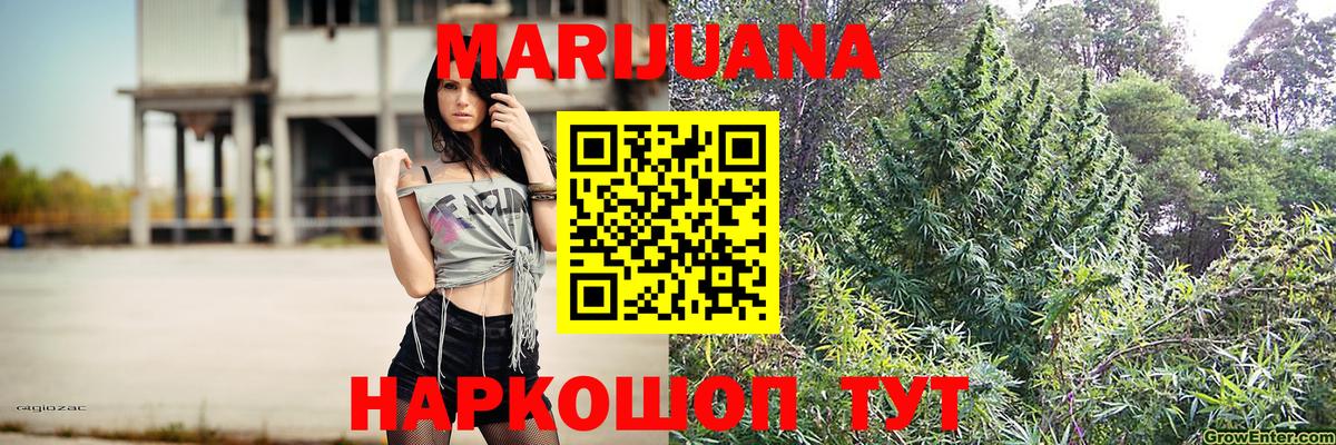 Бошки марихуана сатива Тольятти